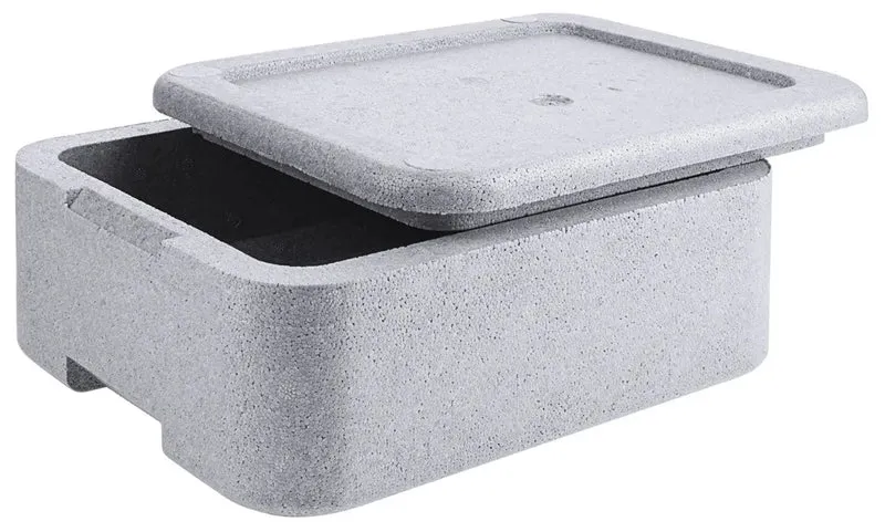 Menübox EPS für 2 Menüs 30 x 24 x 12 cm grau