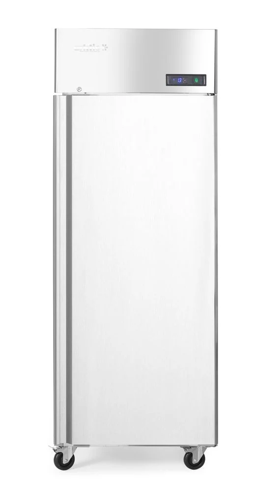 Arktic Kühlschrank – eintürig Profi Line 670 L – Profi Line – 455 l – 230 V / 220 W – 800 × 730 × 2065 mm
