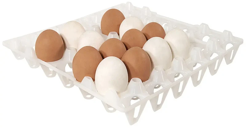 Eierspender Eierbox Tablett für 30 Eier