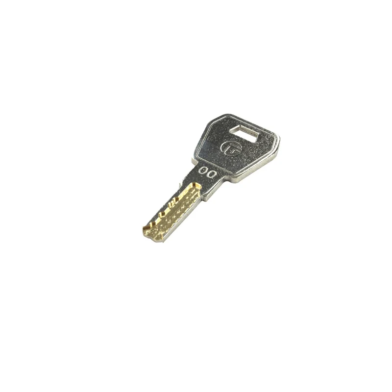 Rieber Hauptschlüssel für multipolar® 21 (G)