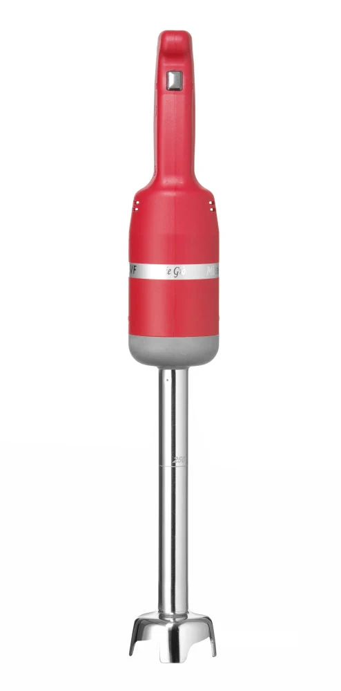 Stabmixer 250, fixe Geschwindigkeit