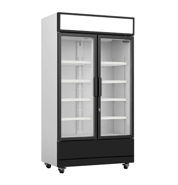 Kühlschrank mit 2 Glastüren, 670 Liter